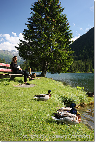 Tour de Mont Blanc, Champex